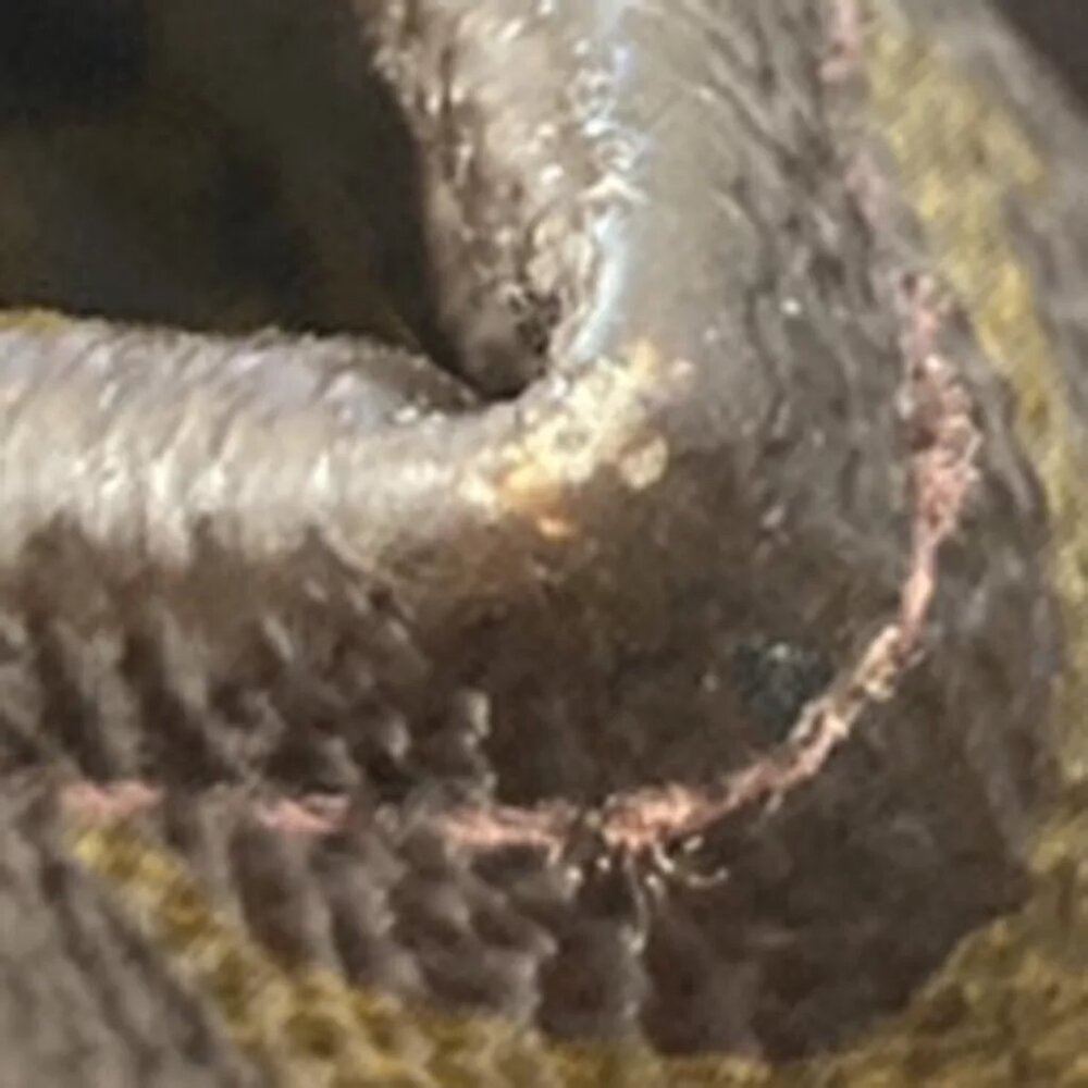 LOUIS VUITTON Poche Documents Business Clutch Bag Monogram - Picture 6 of 13